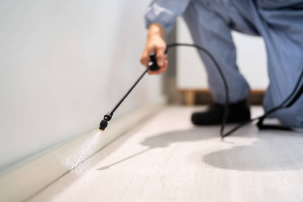 Certified termite inspector examining foundation in Annapolis Neck