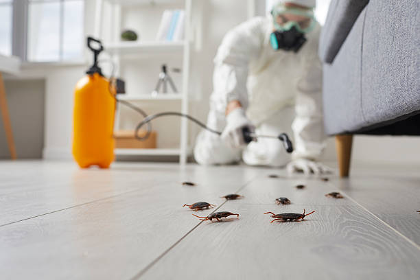 Commercial Kitchen Cockroach Control in Annapolis Neck